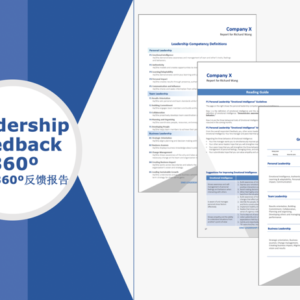 Leadership Feedback 360 tool
