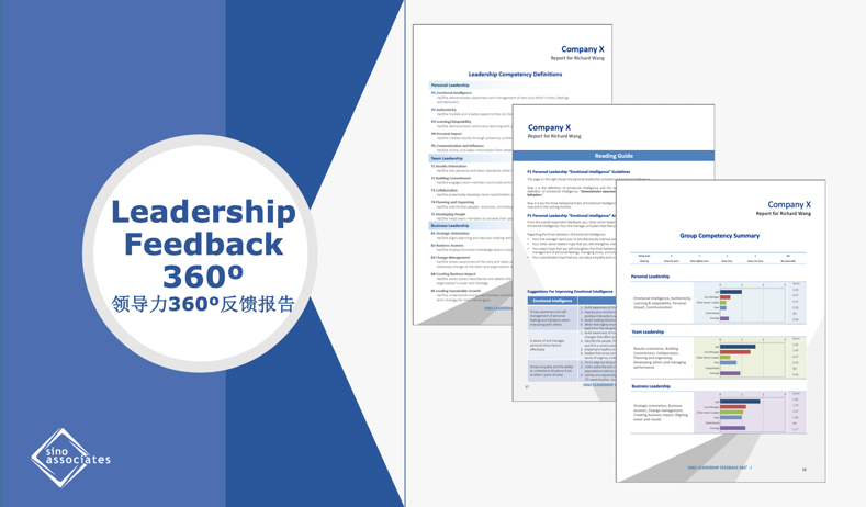 Leadership Feedback 360 tool